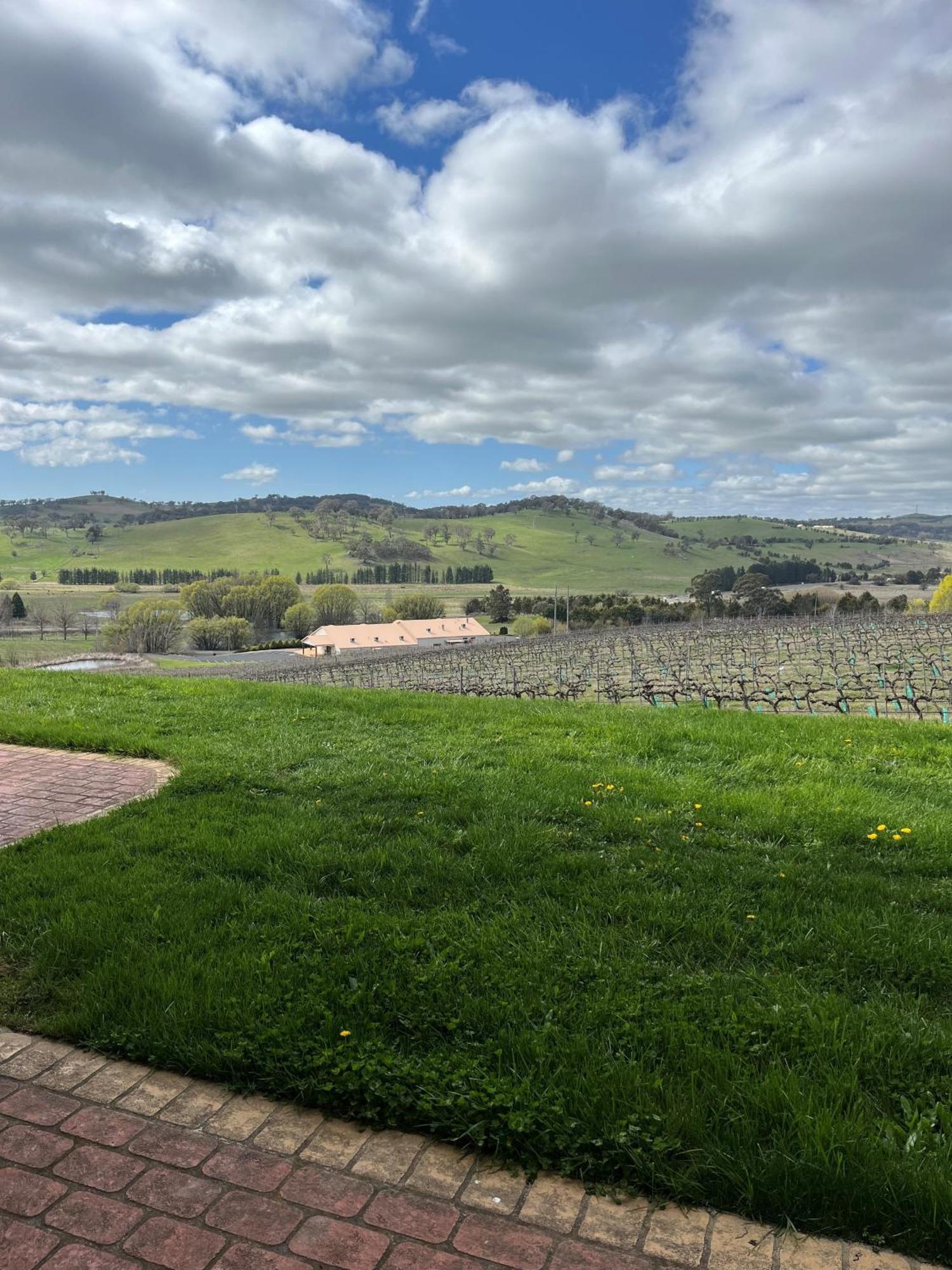 Turners Vineyard Motel Ориндж Екстериор снимка