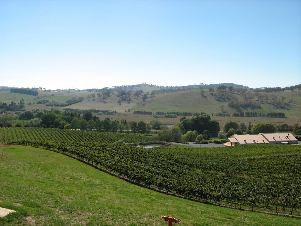 Turners Vineyard Motel Ориндж Стая снимка