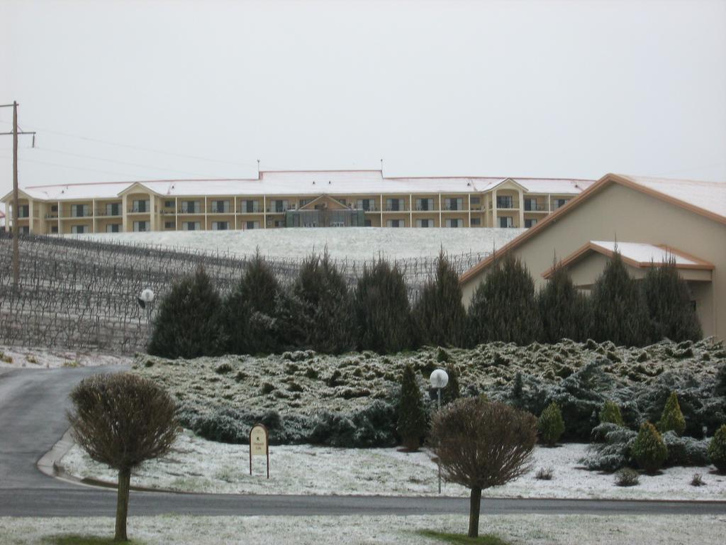 Turners Vineyard Motel Ориндж Екстериор снимка