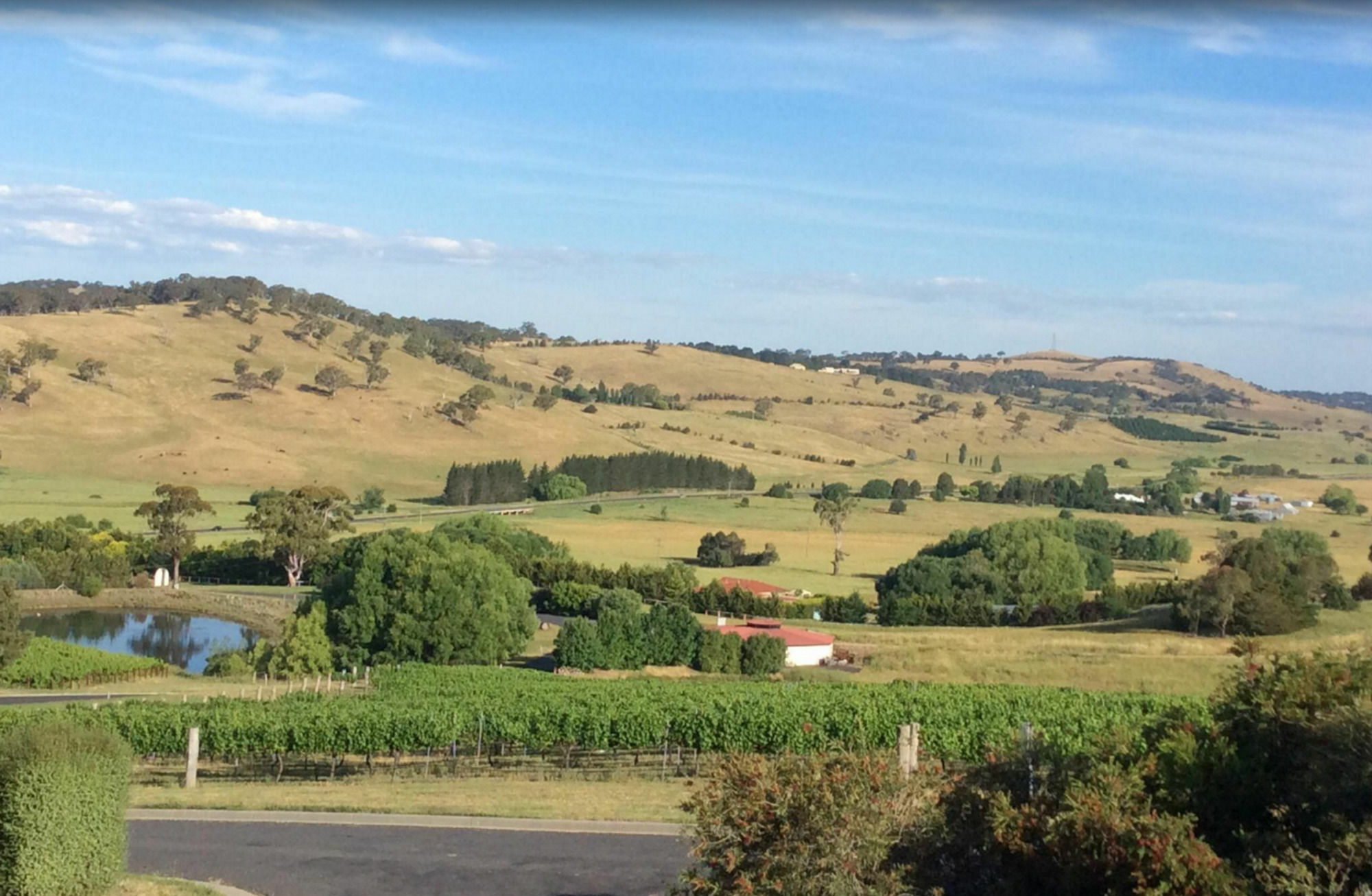 Turners Vineyard Motel Ориндж Екстериор снимка