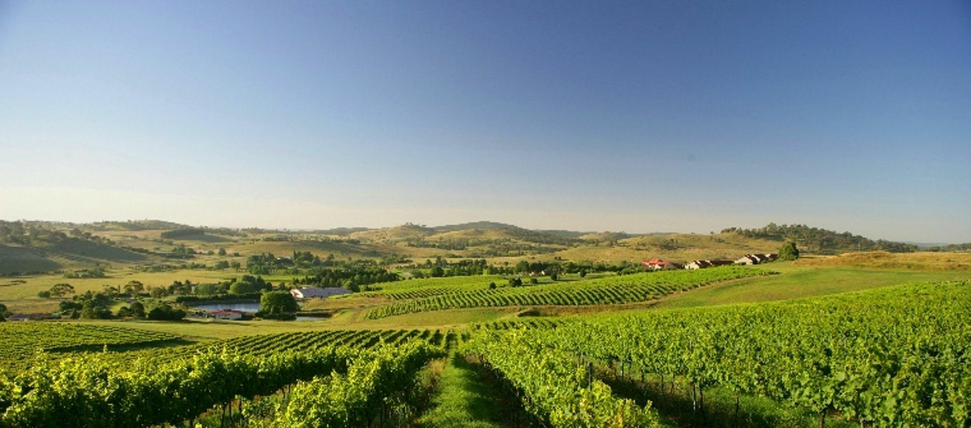 Turners Vineyard Motel Ориндж Екстериор снимка