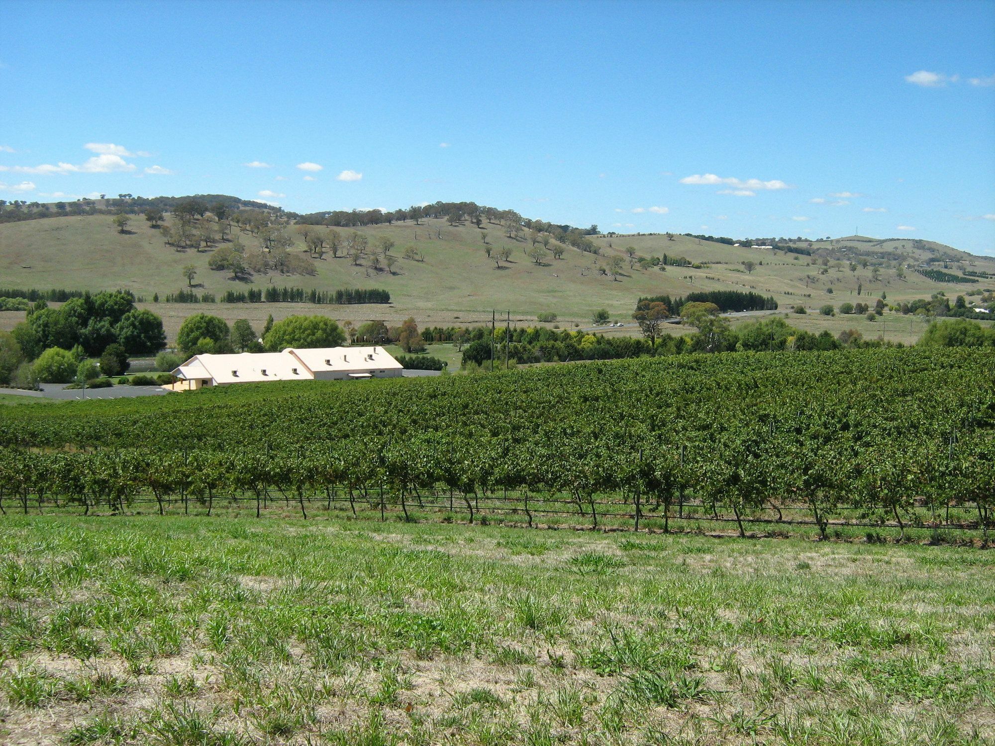 Turners Vineyard Motel Ориндж Екстериор снимка
