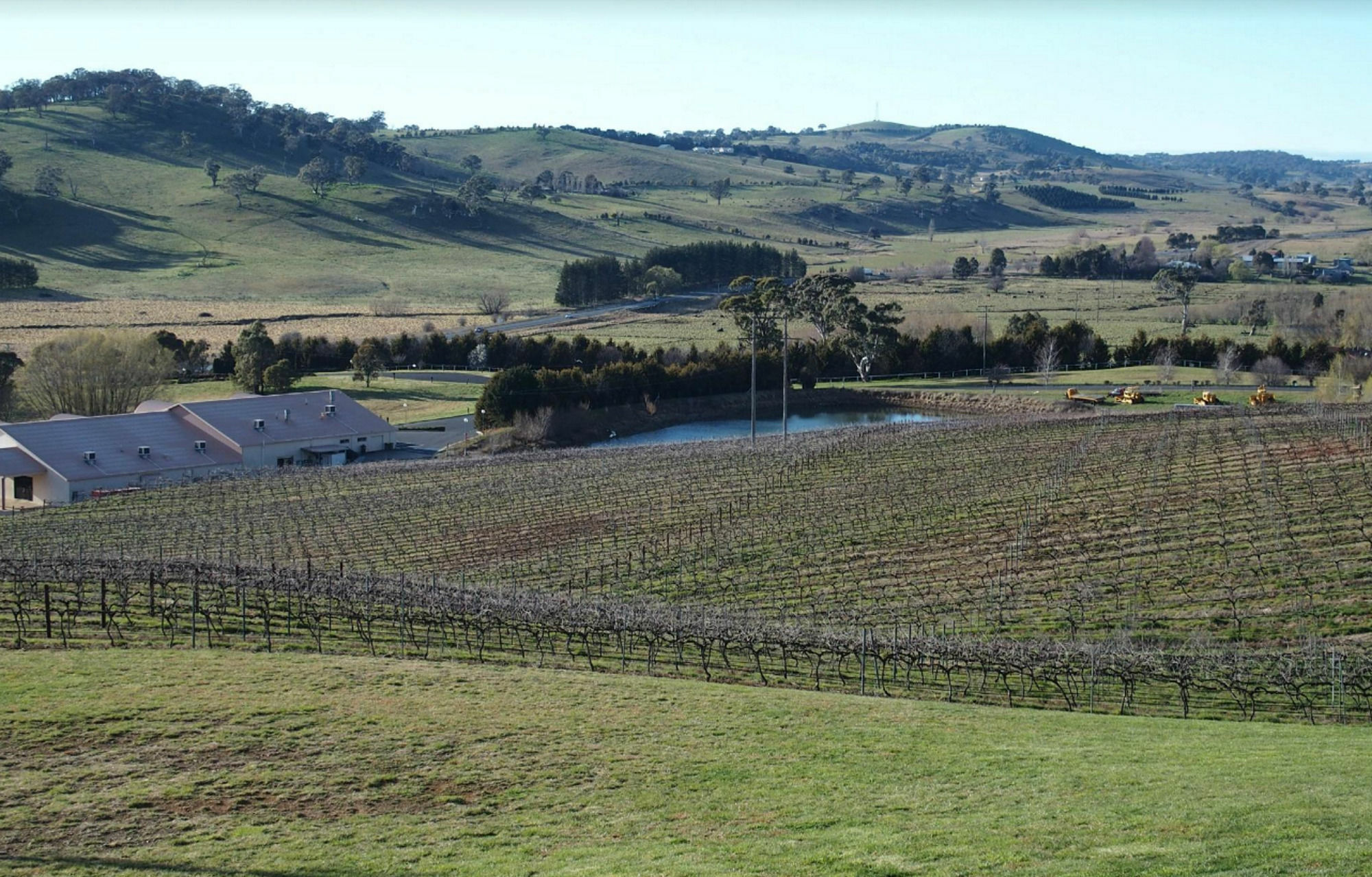 Turners Vineyard Motel Ориндж Екстериор снимка