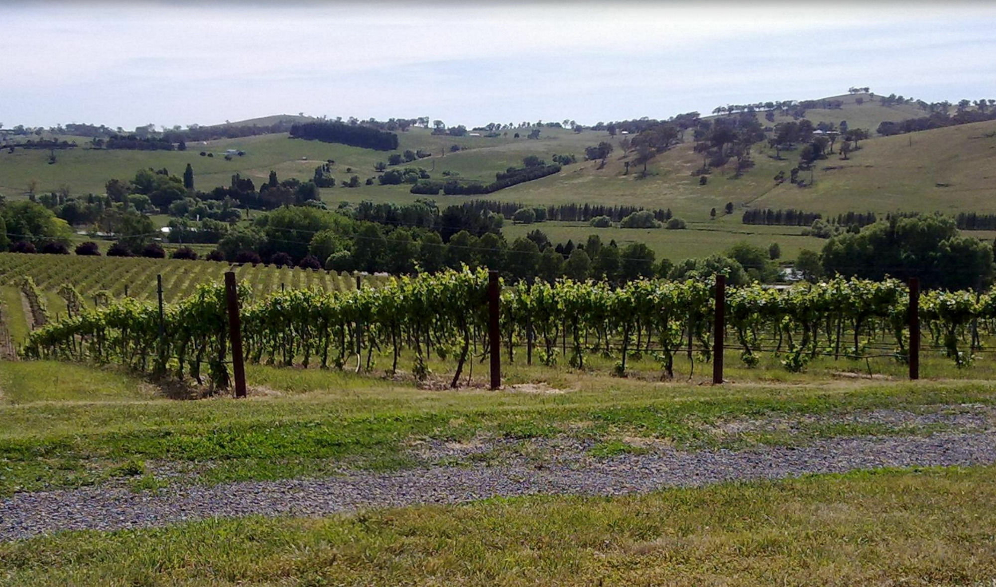 Turners Vineyard Motel Ориндж Екстериор снимка